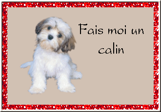 Gif fait moi un câlin